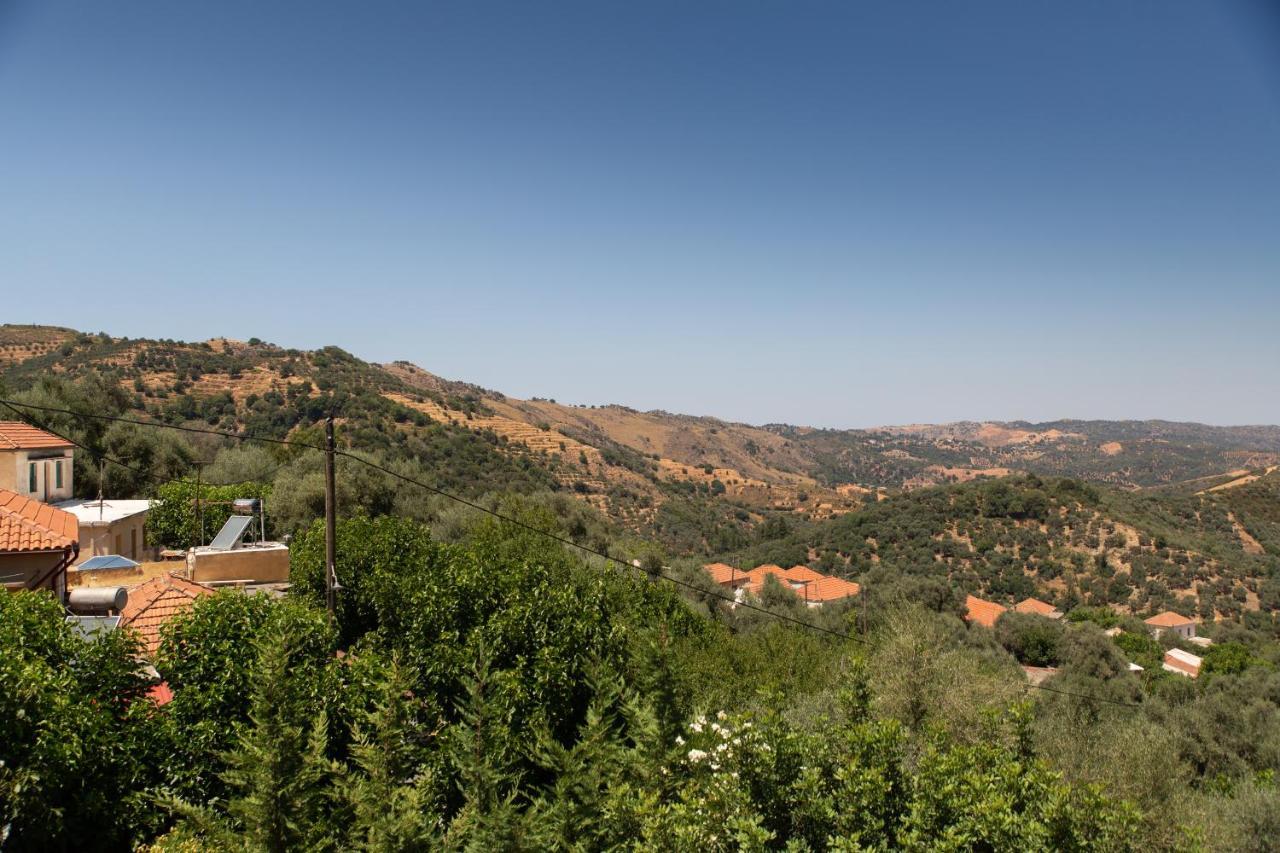 Villa Armonia Boutique Living Dhrakona  Εξωτερικό φωτογραφία
