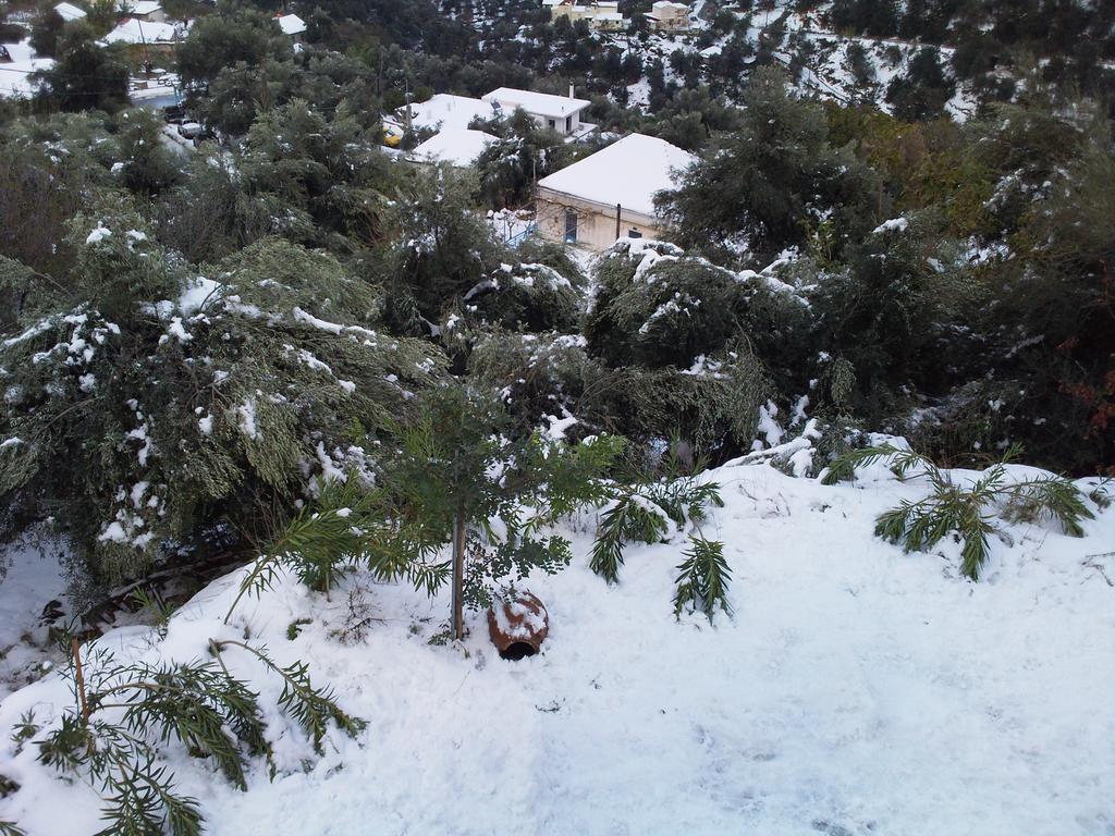 Villa Armonia Boutique Living Dhrakona  Εξωτερικό φωτογραφία