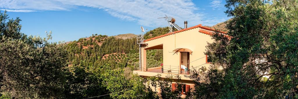 Villa Armonia Boutique Living Dhrakona  Εξωτερικό φωτογραφία